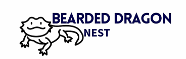 Bearded Dragon Nest